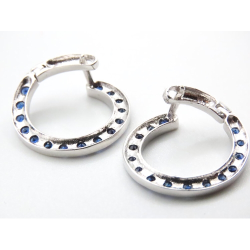 1056 - Pair of 14 Carat White Gold Sapphire Set Loop Earrings