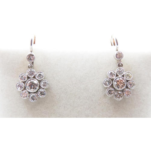 1059 - Fine Pair of Diamond Set Daisy Cluster Earrings Set in Platinum Further Mounted on 18 Carat Yellow G... 