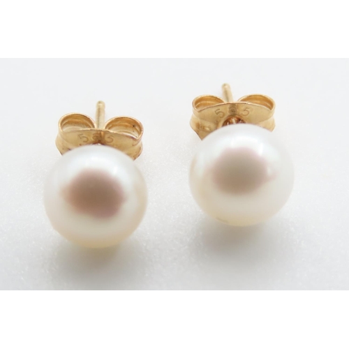 1066 - Pair of 14 Carat Yellow Gold Pearl Stud Earrings As New Unworn