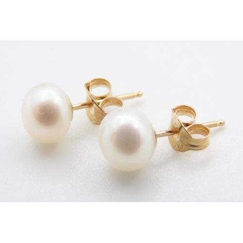 1066 - Pair of 14 Carat Yellow Gold Pearl Stud Earrings As New Unworn