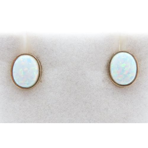 1086 - Pair of Opal set Earrings Mounted in 9 Carat Yellow Gold