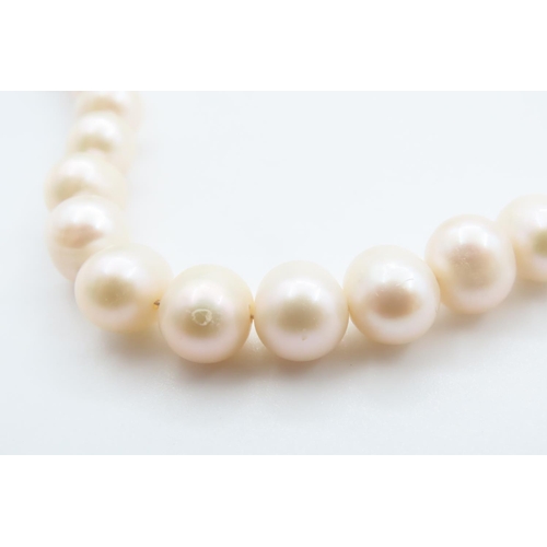 1088 - Ladies Pearl Necklace with Silver Clasp 46cm Long