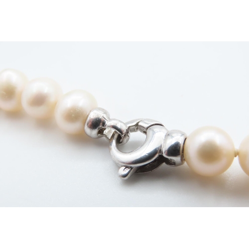 1088 - Ladies Pearl Necklace with Silver Clasp 46cm Long