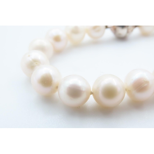 1089 - Ladies Pearl Bracelet with Silver Clasp 20cm Long