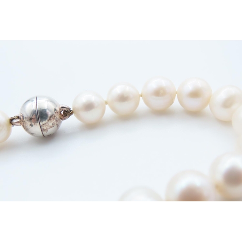 1089 - Ladies Pearl Bracelet with Silver Clasp 20cm Long