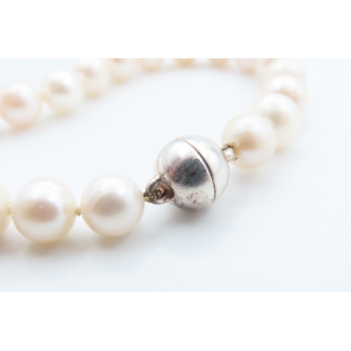 1089 - Ladies Pearl Bracelet with Silver Clasp 20cm Long