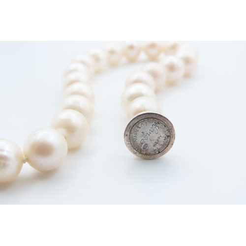 1089 - Ladies Pearl Bracelet with Silver Clasp 20cm Long