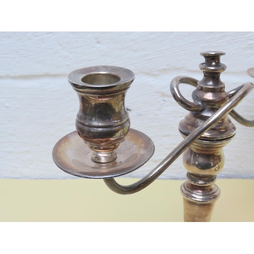 110 - Pair of Twin Sconce Candelabra Silver Plated Each Approximately Ten Inches High