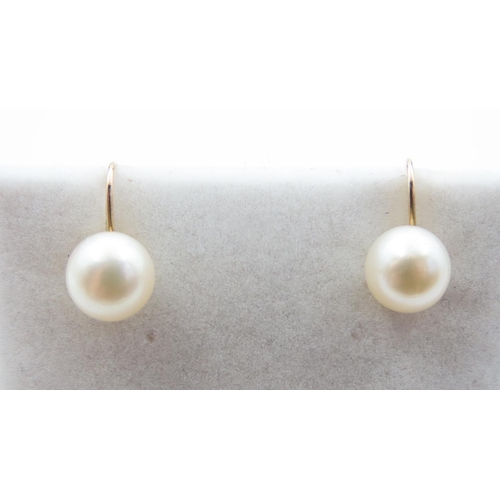 1119 - Pair of Pearl Set 9 Carat Yellow Gold Earrings