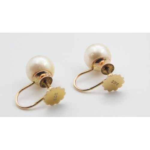 1119 - Pair of Pearl Set 9 Carat Yellow Gold Earrings