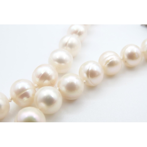 1127 - Two Pairs of Ladies Pearl Necklaces with a Pair of Ladies Silver Pearls Earrings