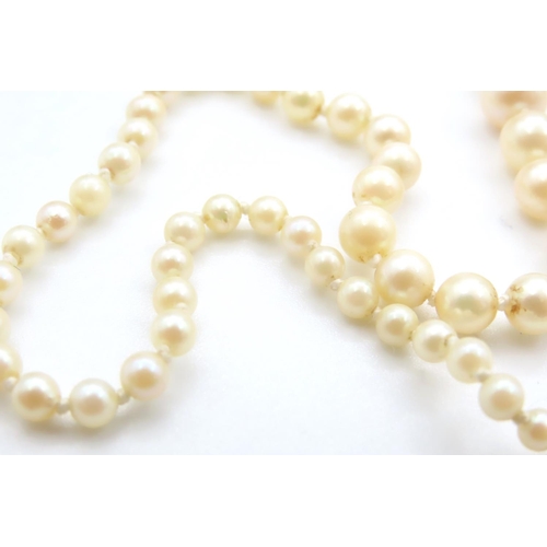 1128 - Ladies Pearl Necklace with Jade Set 9 Carat Yellow Gold Clasp 44cm Long