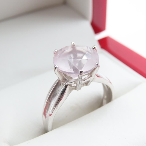 1198 - Pale Pink Sapphire Solitaire Statement Ring Mounted on 9 Carat White Gold Band Ring Size N and a Hal... 