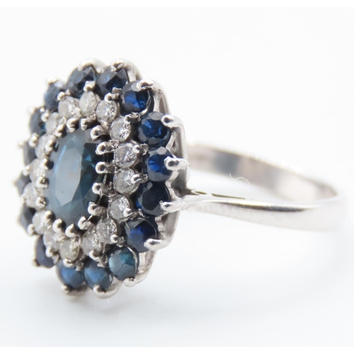 1213 - Sapphire and Diamond Ladies Cluster Ring Mounted on 18 Carat White Gold Band Ring Size N