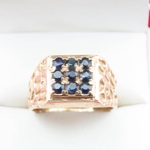 1217 - Nine Stone Sapphire Panel Ring Mounted in 9 Carat Yellow Gold Ring Size X