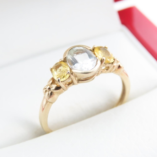 1252 - Half Bezel Set Aquamarine with Further Set Citrine to Shoulders Mounted on 9 Carat Yellow Gold Ring ... 