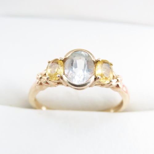 1252 - Half Bezel Set Aquamarine with Further Set Citrine to Shoulders Mounted on 9 Carat Yellow Gold Ring ... 