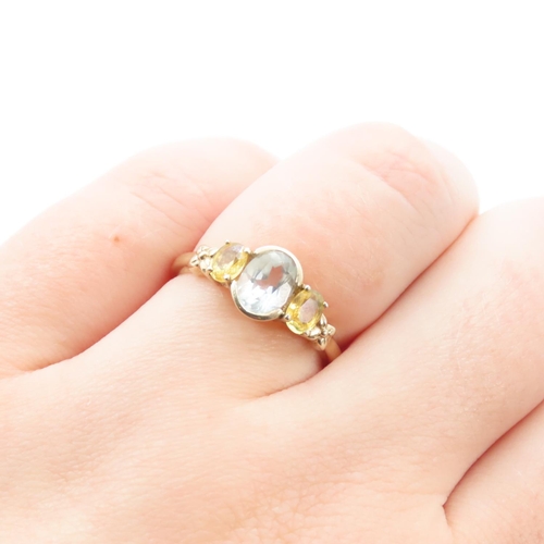 1252 - Half Bezel Set Aquamarine with Further Set Citrine to Shoulders Mounted on 9 Carat Yellow Gold Ring ... 