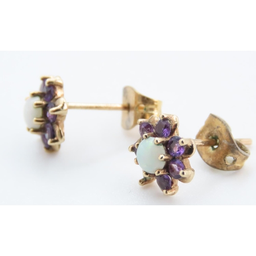 1257 - Pair of Daisy Motif Amethyst and Opal Set Stud Earrings Set in 9 Carat Yellow Gold