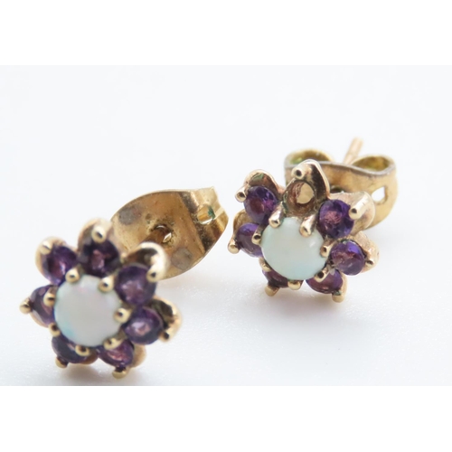 1257 - Pair of Daisy Motif Amethyst and Opal Set Stud Earrings Set in 9 Carat Yellow Gold