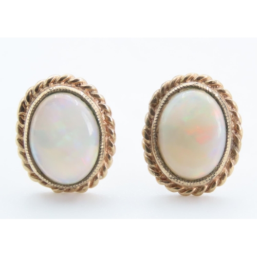 1259 - Pair of Opal Set 9 Carat Yellow Gold Stud Earrings