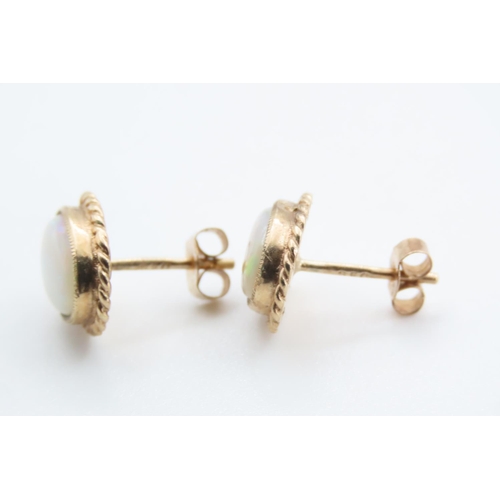 1259 - Pair of Opal Set 9 Carat Yellow Gold Stud Earrings