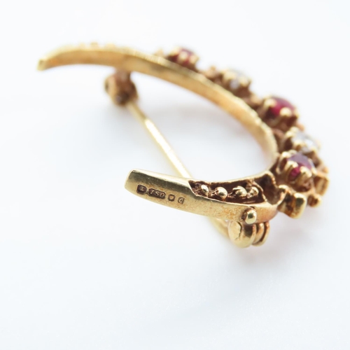 1263 - 18 Carat Yellow Gold Ruby and Gemstone Set Moon Brooch