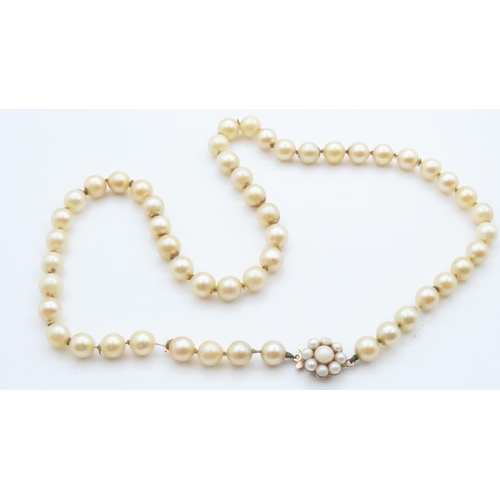 1588 - Pearl Necklace with Floral Motif 9 Carat Yellow Gold Clasp