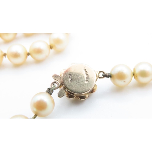 1588 - Pearl Necklace with Floral Motif 9 Carat Yellow Gold Clasp