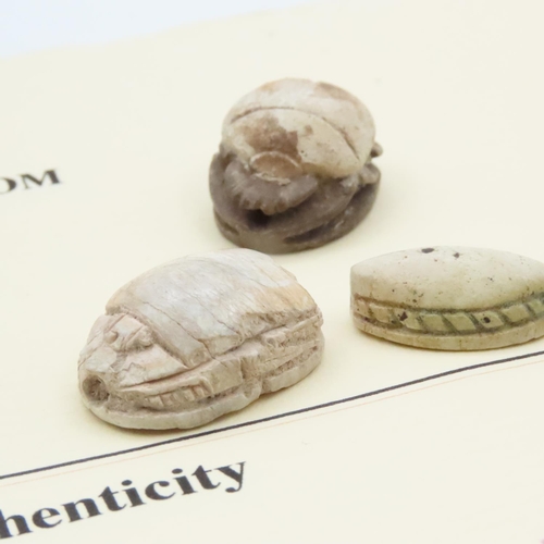 1621 - Ancient Egyptian Scarabs with Certificates Present