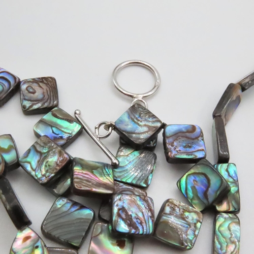 1625 - Various Rainbow Abalone Shell Necklaces Quantity as Photographed