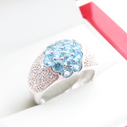 1719 - Blue Topaz and Diamond Cluster Dome Ring Mounted on 10 Carat White Gold Band Ring Size N