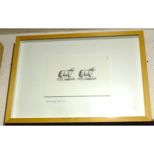 213 - Alan Fletcher Set of Four Fine Art Lithographs Artists Proofs Each Approximately 18 Inches Wide x 10... 