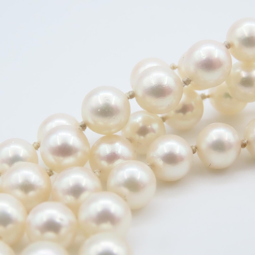 338 - Pearl Necklace 120cm Long Attractive Hue Good Condition