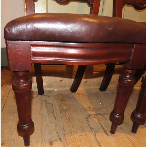 477 - Pair of Victorian Mahogany Leather Upholstered Chairs Turned Supports Good Construction