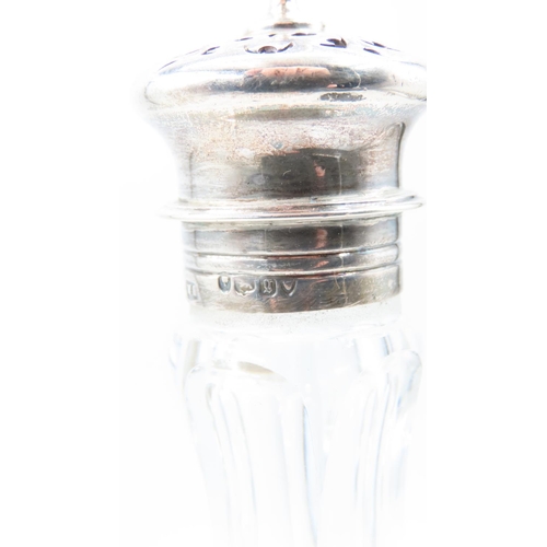 555 - Silver Top Cut Crystal Shaker Shifter Slender Neck Form Hob Nail Cut Crystal Approximately 7 Inches ... 