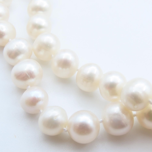 112 - Pearl Necklace 42cm Long with Shell Motif Adorned Clasp