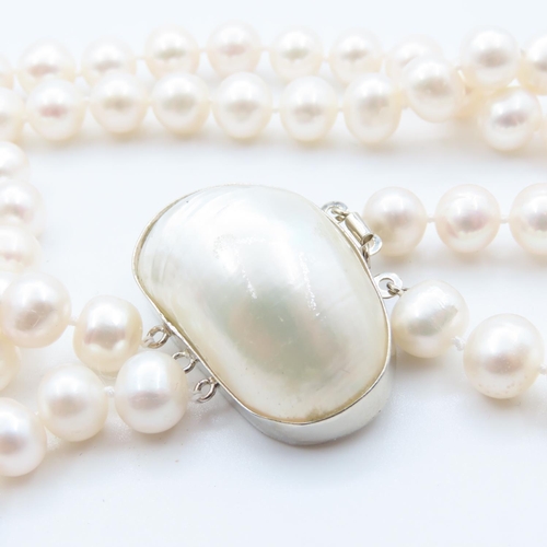 112 - Pearl Necklace 42cm Long with Shell Motif Adorned Clasp