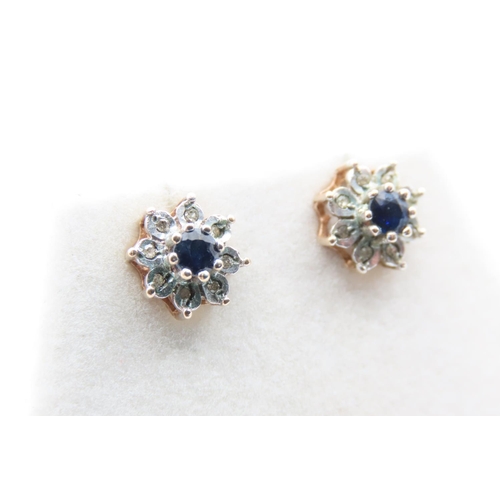 180 - Pair of Sapphire and Diamond Ladies Floral Motif Earrings Each 1cm High