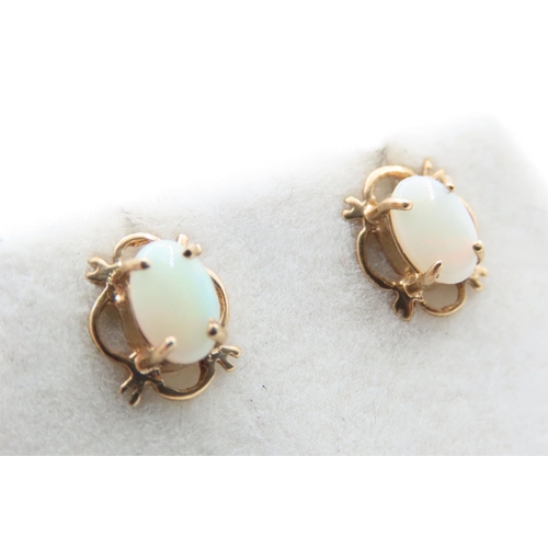 306 - Pair of Opal Set Ladies 9 Carat Yellow Gold Earrings As New Unworn