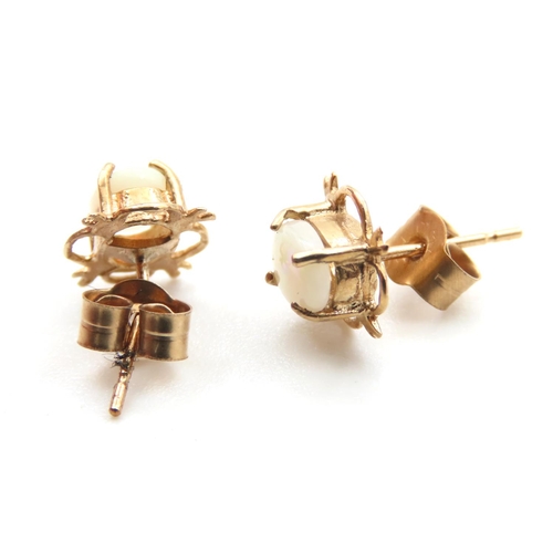 306 - Pair of Opal Set Ladies 9 Carat Yellow Gold Earrings As New Unworn