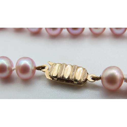 318 - Ladies Pearl Bracelet with 9 Carat Yellow Gold Clasp 2cm Long As New Unworn