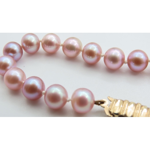 318 - Ladies Pearl Bracelet with 9 Carat Yellow Gold Clasp 2cm Long As New Unworn