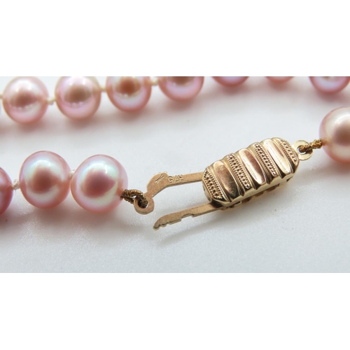 318 - Ladies Pearl Bracelet with 9 Carat Yellow Gold Clasp 2cm Long As New Unworn