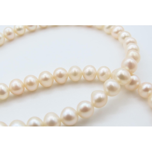327 - Ladies Pearl Necklace with 9 Carat Yellow Gold Clasp 42cm Long As New Unworn
