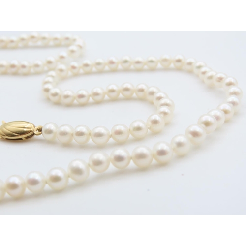 329 - Ladies Pearl Necklace with 9 Carat Yellow Gold Clasp 60cm Long As New Unworn