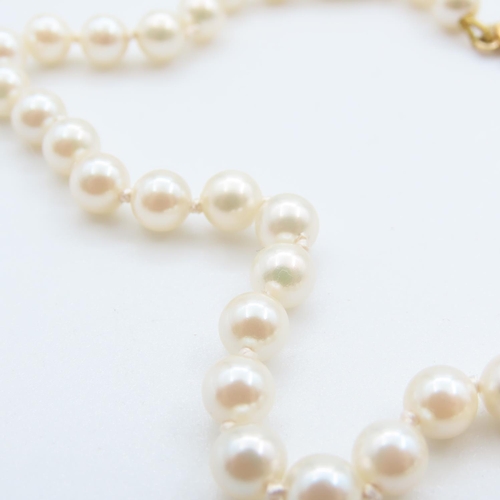 330 - Ladies Pearl Necklace 40cm Long As New Unworn