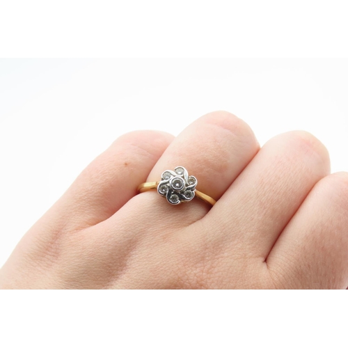 352 - Diamond Set Ladies Floral Motif Ring Set in Platinum Mounted on 18 Carat Yellow Gold Ring Size P As ... 