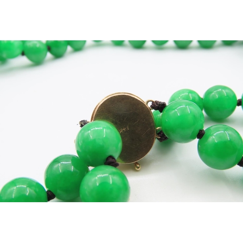 474 - Ladies Two Strand Jade Bead Necklace with 14 Carat Yellow Gold Clasp Shortest Strand 60cm Long Clasp... 