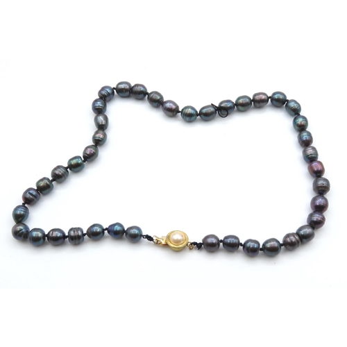 487 - Ladies Tahitian Pearl Necklace 45cm Long